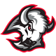 :sabres2