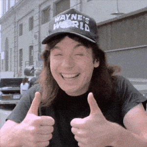 wayne's-world-wayne.gif