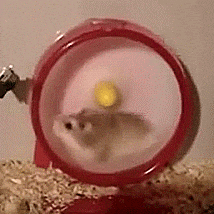 serverhamster.gif