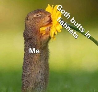 beAEjb9.jpeg