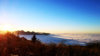 gg_nature_series_99.jpg