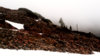 gg_nature_series_76.jpg