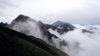 gg_nature_series_81.jpg