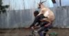 man-rides-bike-goat-back.jpg