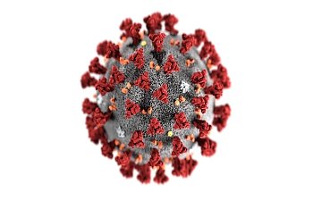 Terrorists, militants and criminal gangs join the fight against the coronavirus April 10, 2020 8.18