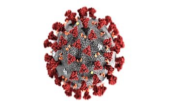 How can scientists update coronavirus vaccines for omicron?