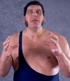 Andre_The_Giant1.png