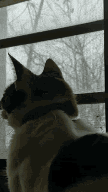 head-turn-turning-heads.gif