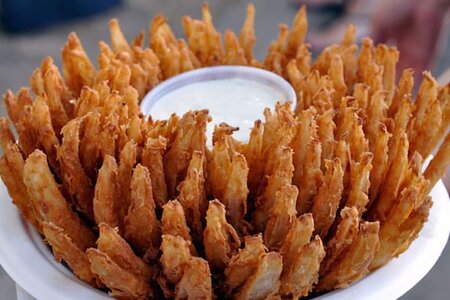 Blooming-Onion_1.jpg