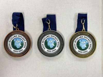 Neon Buzzard 9 Hockey Pool (2023-2024) - Gold, Silver, and Bronze Medals.jpg