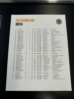 Bruins.Training.Camp.24-25.jpg