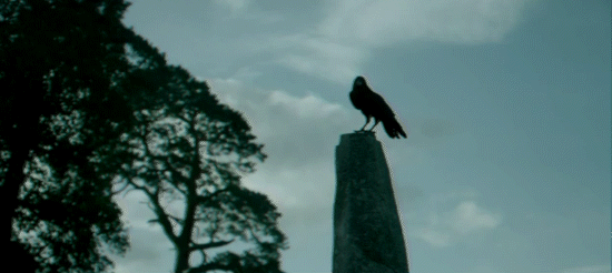 landy9.gif