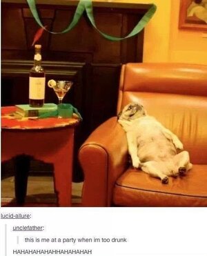 drunkdog.jpg