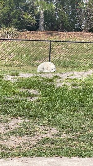 IMG_5797.jpeg
