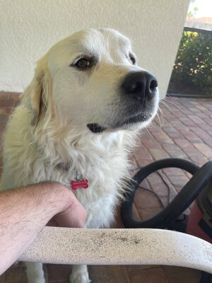 IMG_5730.jpeg