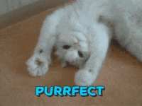 200w (1).gif