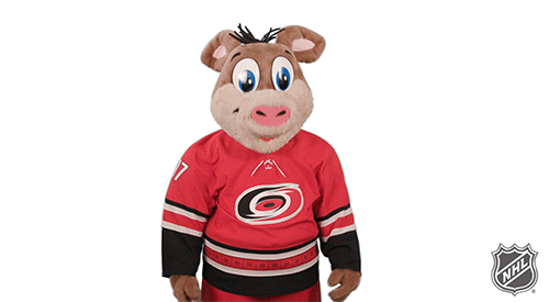 Cant Look Ice Hockey GIF by NHL.gif