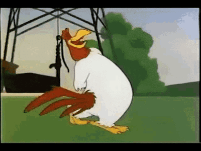 IMG_1135.gif