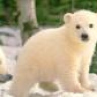 polarbearcub