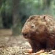 Wombat Legion