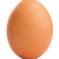 TheEgg