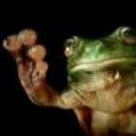 angry_treefrog