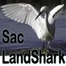 SacLandshark