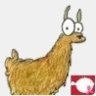 Llama19