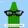 Cucumber