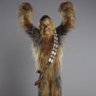 thewookie1