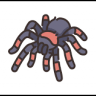 Tarantula