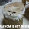 TRASHCAT