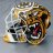 Ironclad Lions