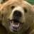 BearishRiggs
