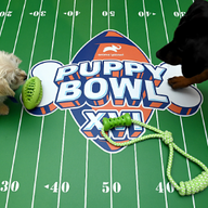 Puppy Bowl XXI